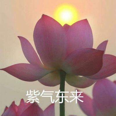 模拟建造城市3d挖掘机驾驶游戏(暂未上线)v1.0 安卓版